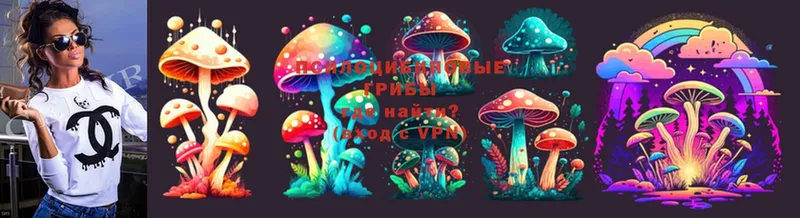 Галлюциногенные грибы MAGIC MUSHROOMS Пудож